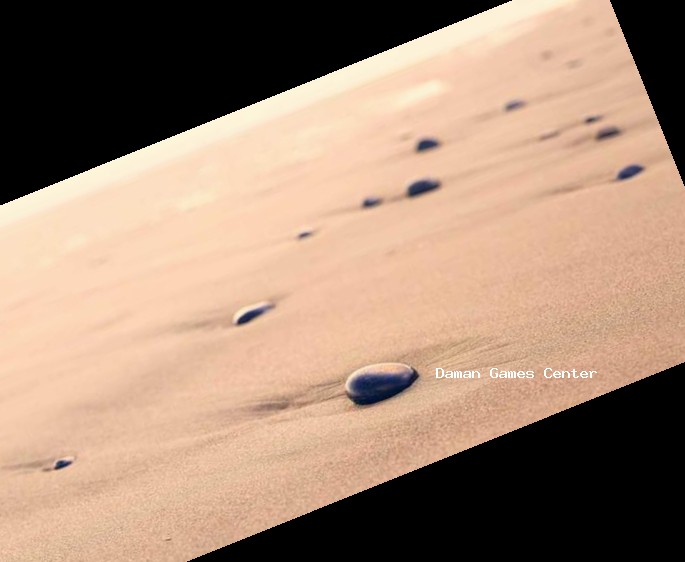 Coop Dynasty: India's Pride - Regional Architecture Coop Dynasty: India's Pride regional variation showing South Indian temple architecture in-game